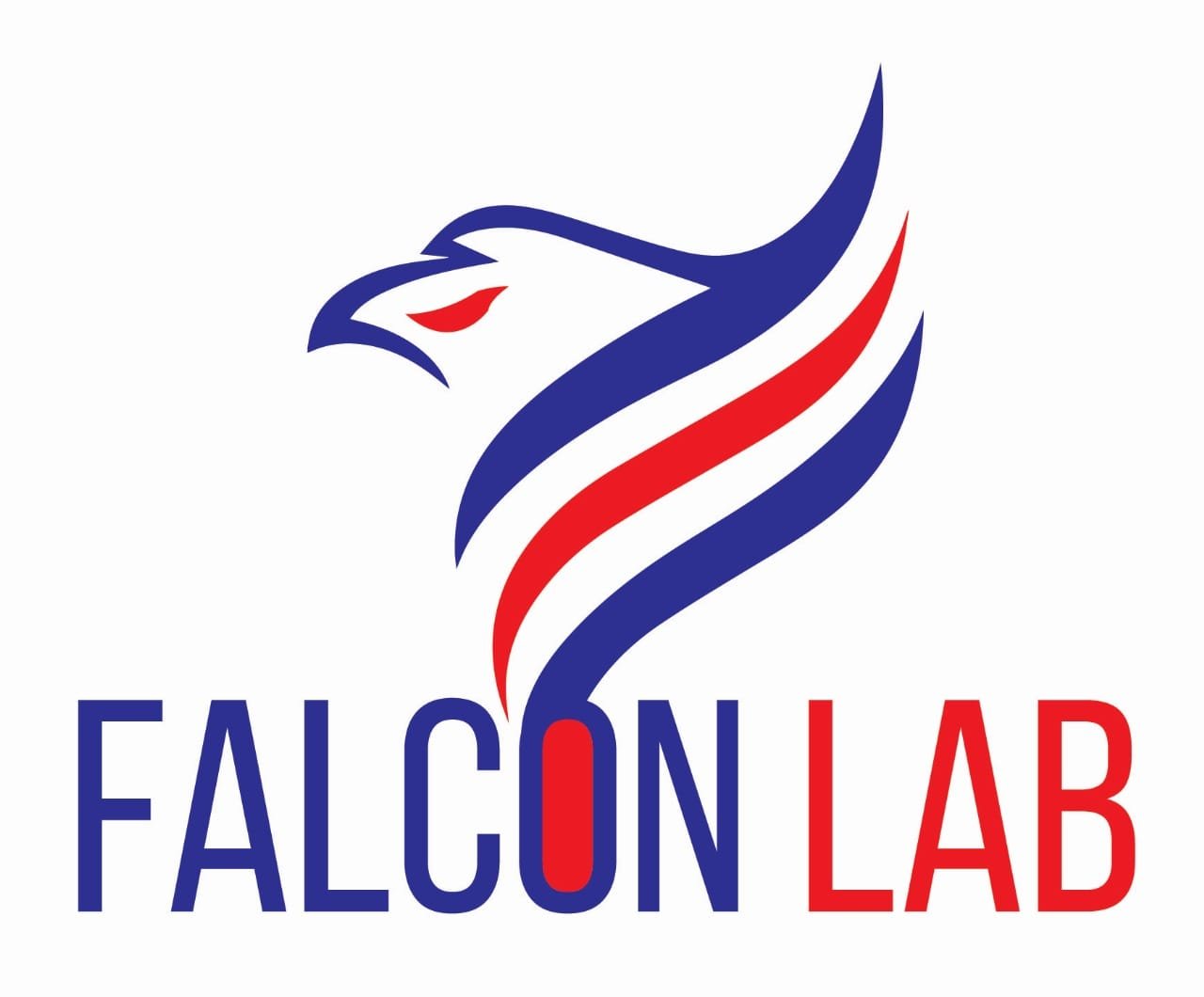 Falcon Lab LLC